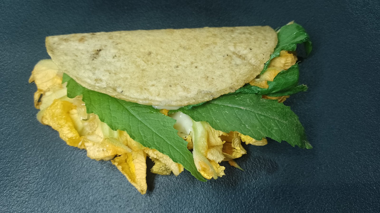 Quesadilla de tortilha de milho recheada com queijo trança tipo Oaxaca, flor de abóbora e folhas de mastruz